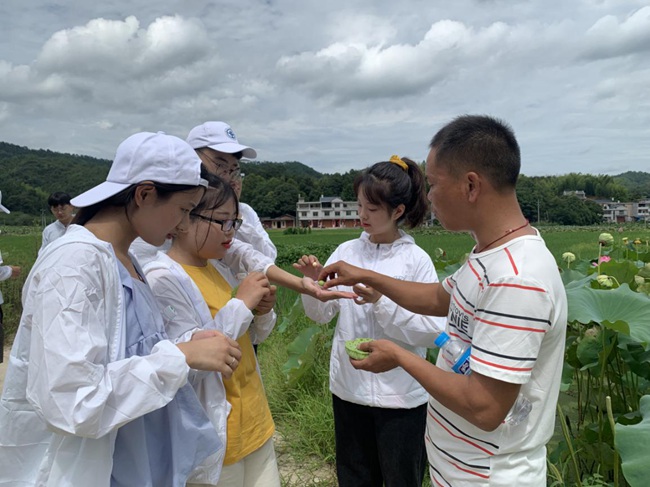 隊(duì)員參觀蓮子生產(chǎn)基地。福建船政交通職業(yè)學(xué)院供圖